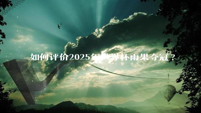 如何评价2025年世界杯雨果夺冠?