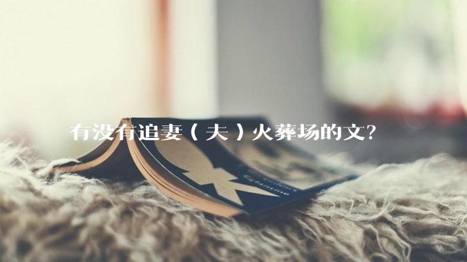 有没有追妻（夫）火葬场的文？