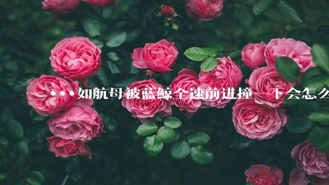 ***如航母被蓝鲸全速前进撞一下会怎么样？
