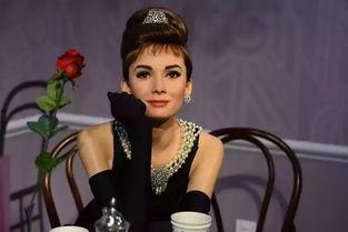 明星展阴唇图片,展露真实阴唇风采