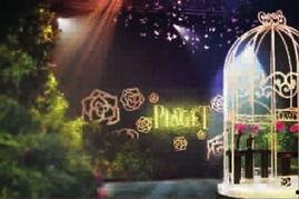 花园派对在线观看免费,在线免费畅享欢乐时光