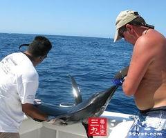 娱乐吃瓜钓鱼视频大全最新